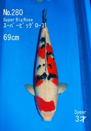 280sbDSC_0452-69_3.jpg