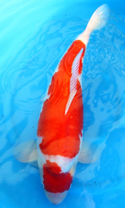 IMG_2541_副本.jpg