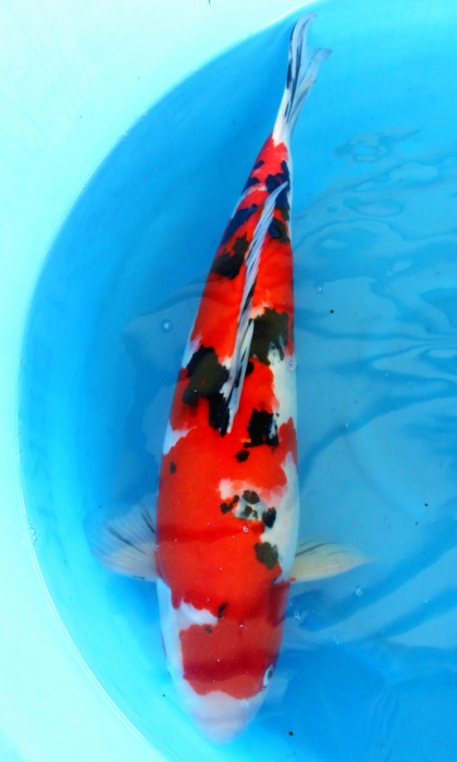 IMG_2574_副本.jpg