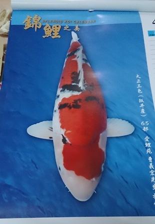 DSC_2302.jpg