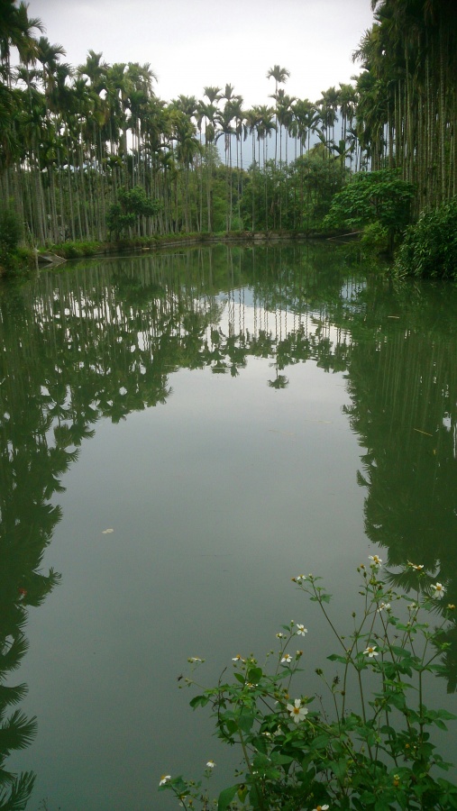 IMG_20140409_033349.JPG