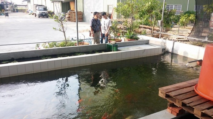 opop0230魚友魚池分享^^
