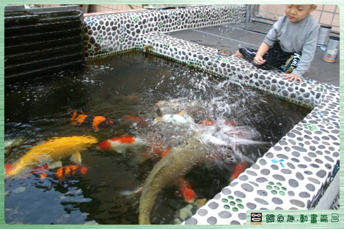 餵魚趣-動畫-2.jpg