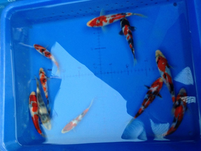分享2