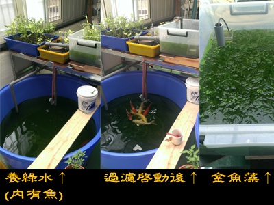 我的過濾系統分享
