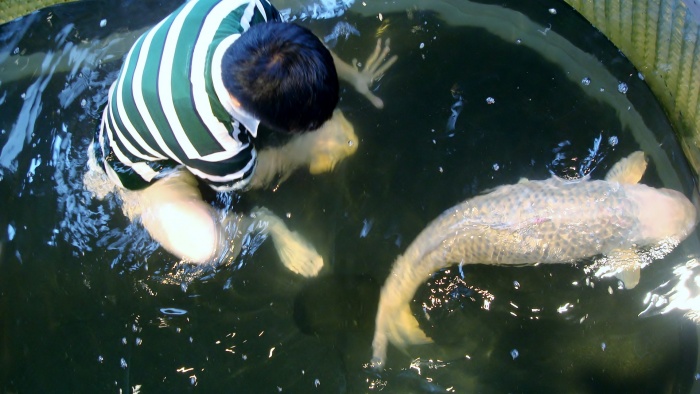 DSC08787.JPG