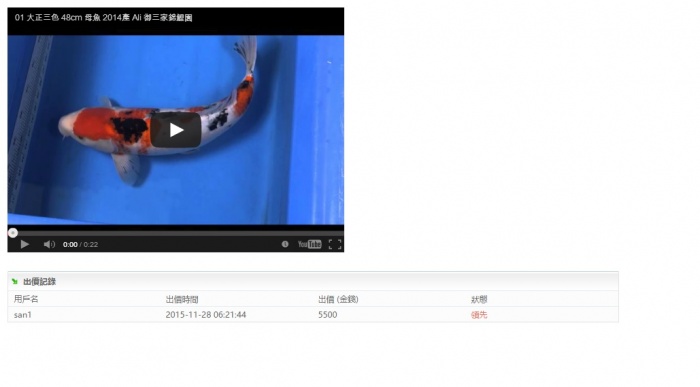 01-大正三色-48cm-母魚--(Ali-御三家錦鯉園) (2).jpg