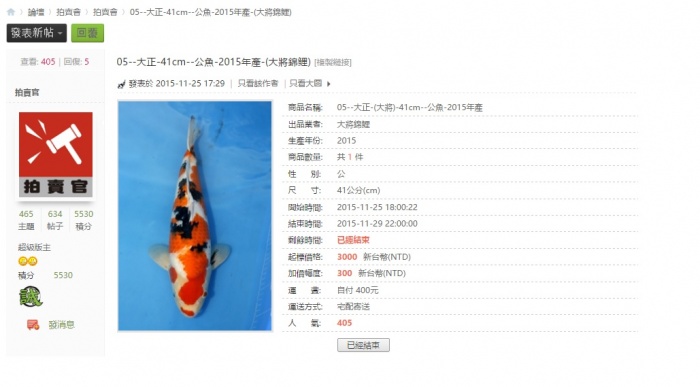 05--大正-41cm--公魚-2015年產-(大將錦鯉) .jpg