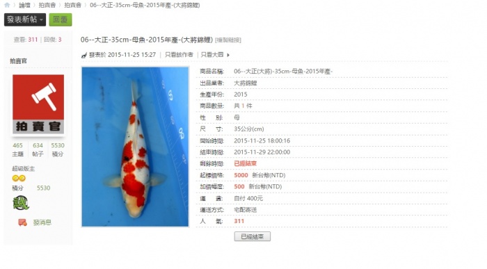 06--大正-35cm-母魚-2015年產-(大將錦鯉) .jpg