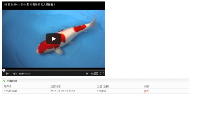 08-紅白-56cm-2014產-(元大錦鯉園) .jpg