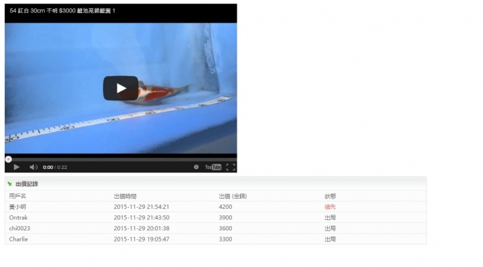 54-紅白-30cm-不明--(鯉池苑錦鯉園) .jpg