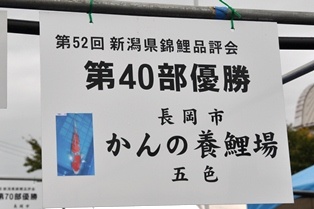 20121108190844966.jpg