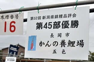 2012110720322519a.jpg