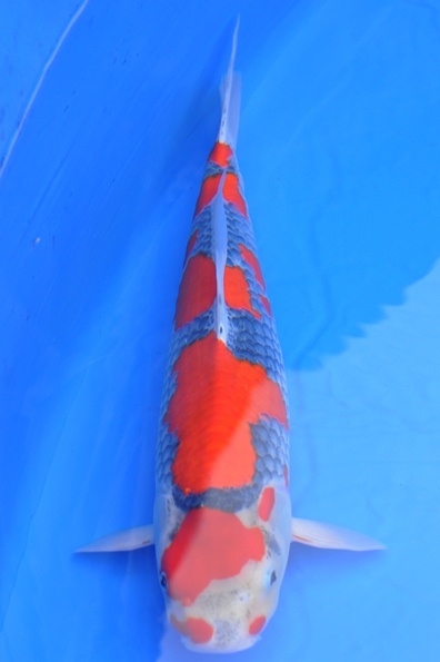 20121107203224979.jpg