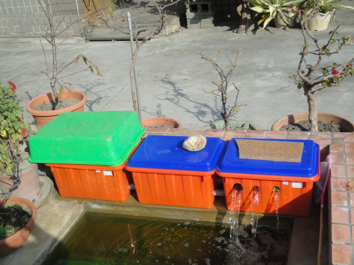小花圃改的小水池