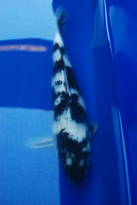 2012-10-20 129.JPG