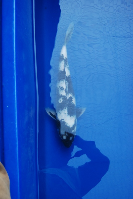 2012-10-20 130.JPG