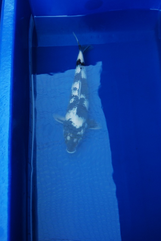 2012-10-20 132.JPG