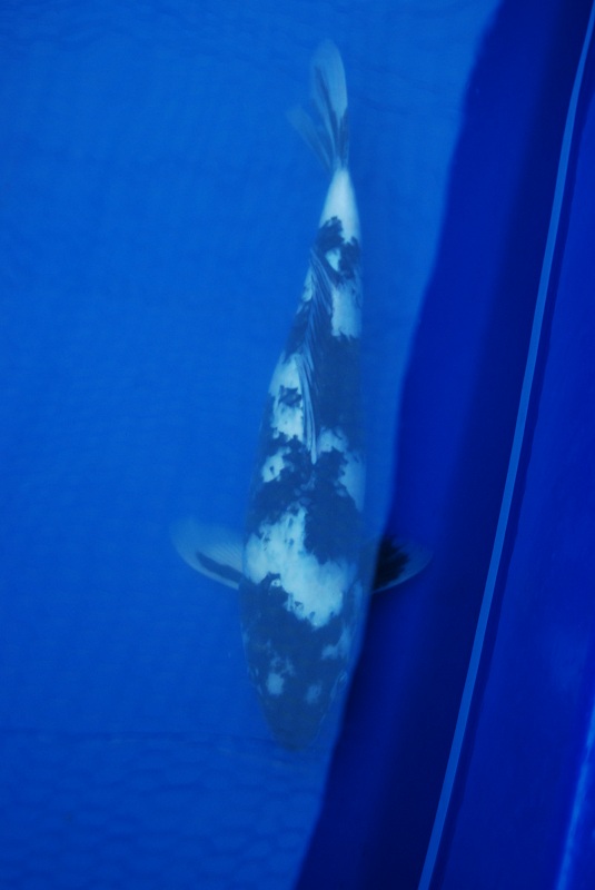 2012-10-20 128.JPG