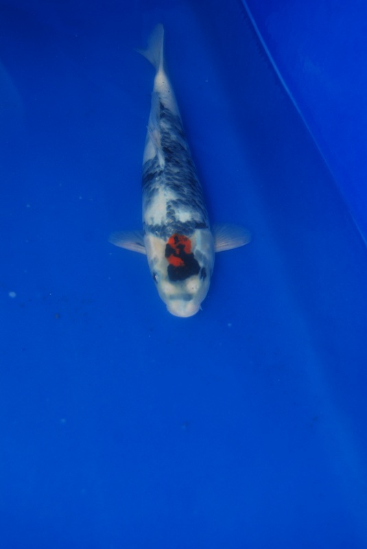 2012-10-20 135.JPG