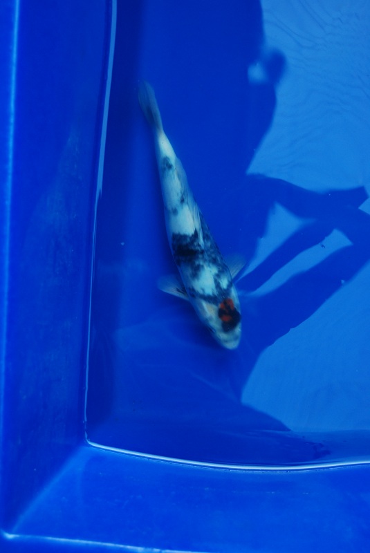 2012-10-20 134.JPG