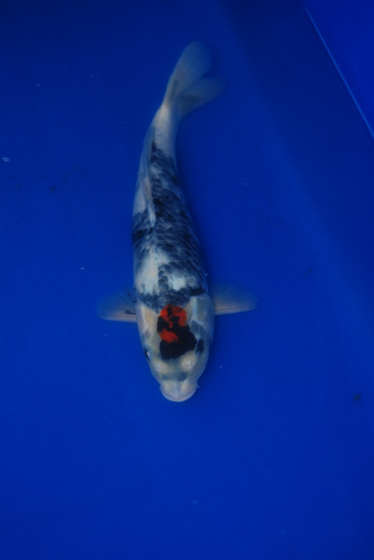 2012-10-20 136.JPG