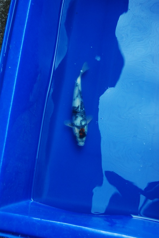 2012-10-20 133.JPG