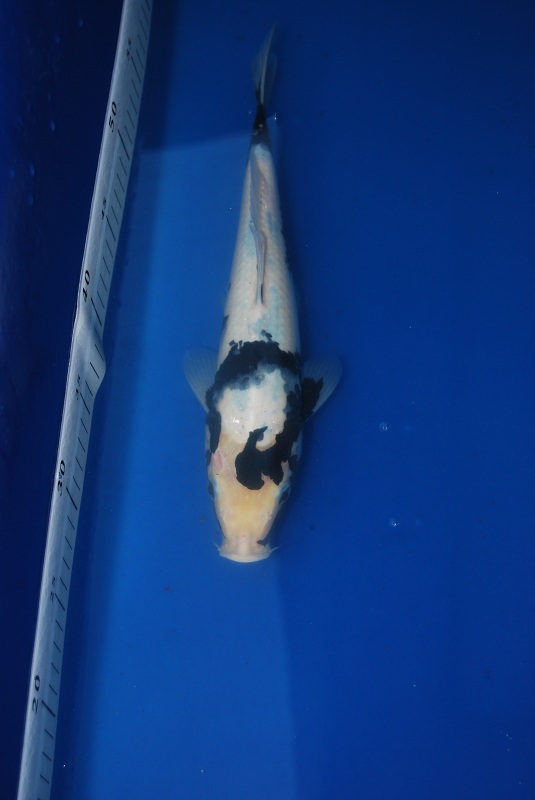 2012-10-20 196.JPG