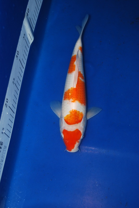 2012-11-04 038.JPG