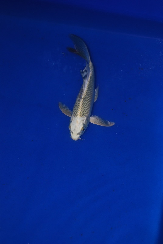 2012-11-04 127.JPG