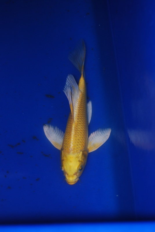 2012-11-04 141.JPG