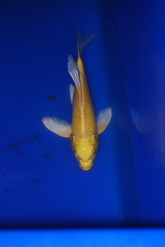 2012-11-04 140.JPG