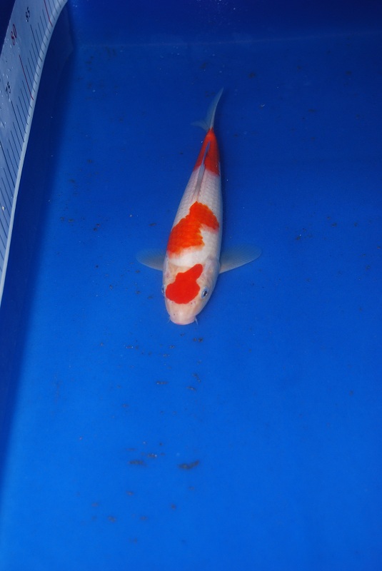2012-11-04 056.JPG
