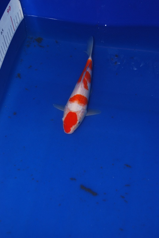 2012-11-04 072.JPG