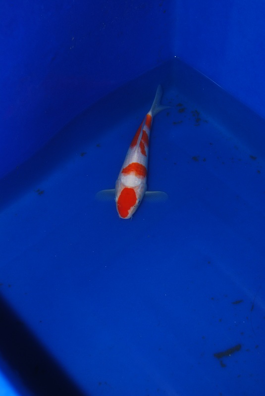 2012-11-04 077.JPG