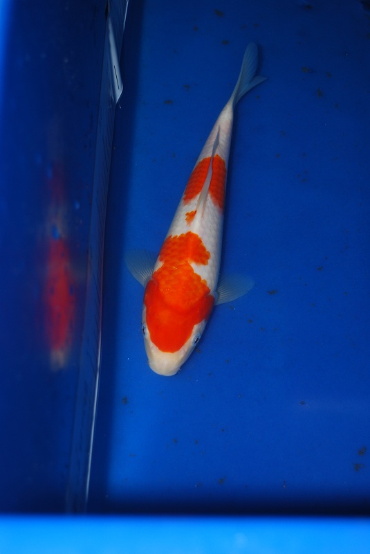 2012-11-04 088.JPG