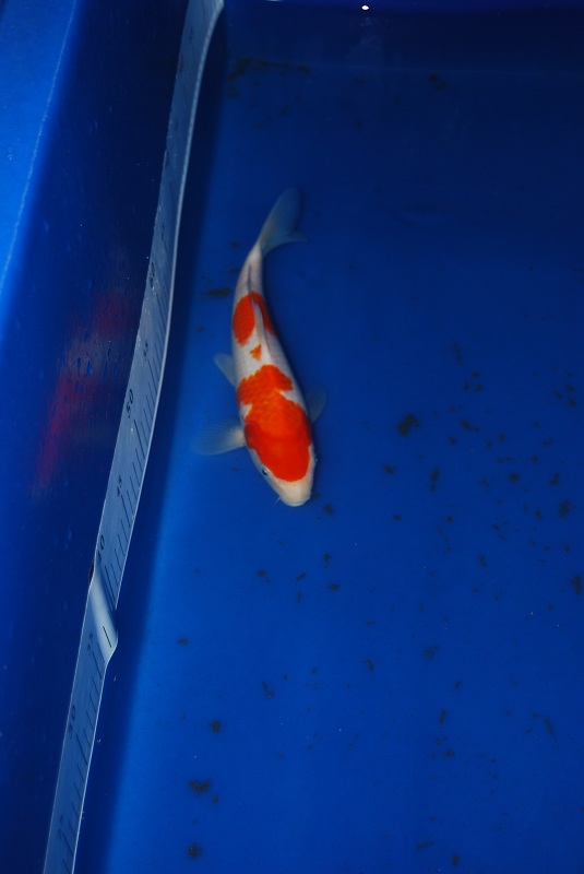 2012-11-04 085.JPG