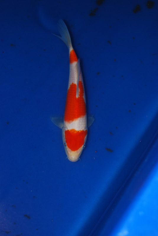 2012-11-04 093.JPG