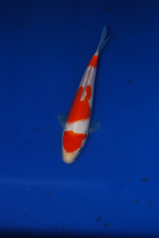 2012-11-04 091.JPG