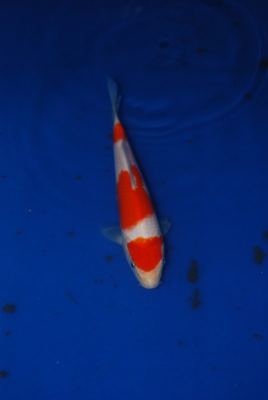 2012-11-04 094.JPG