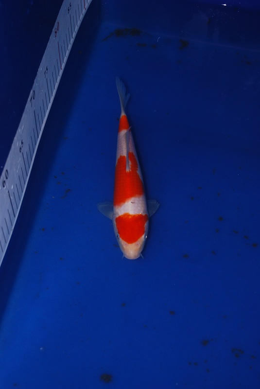 2012-11-04 092.JPG