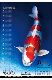 江語鯉苑訂於103年1月25日實體店面開幕