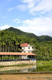 元大錦鯉園  介紹