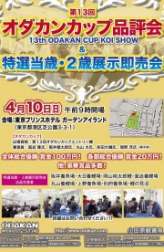 小田原定額抽籤有想抽籤的可以跟我聯繫。
